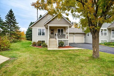 Photo of 223 Larkspur Court, Sun Prairie, WI 53590 (MLS # 2011234)