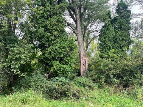 Tiny photo for Lt 6 County Rd M, Westfield, WI 53964 (MLS # 2009724)