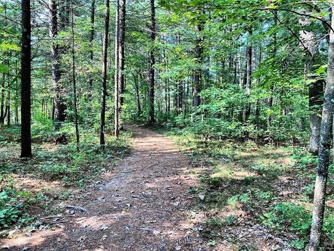 Tiny photo for 9 Maple Trail, Wisconsin Dells, WI 53965 (MLS # 2003156)