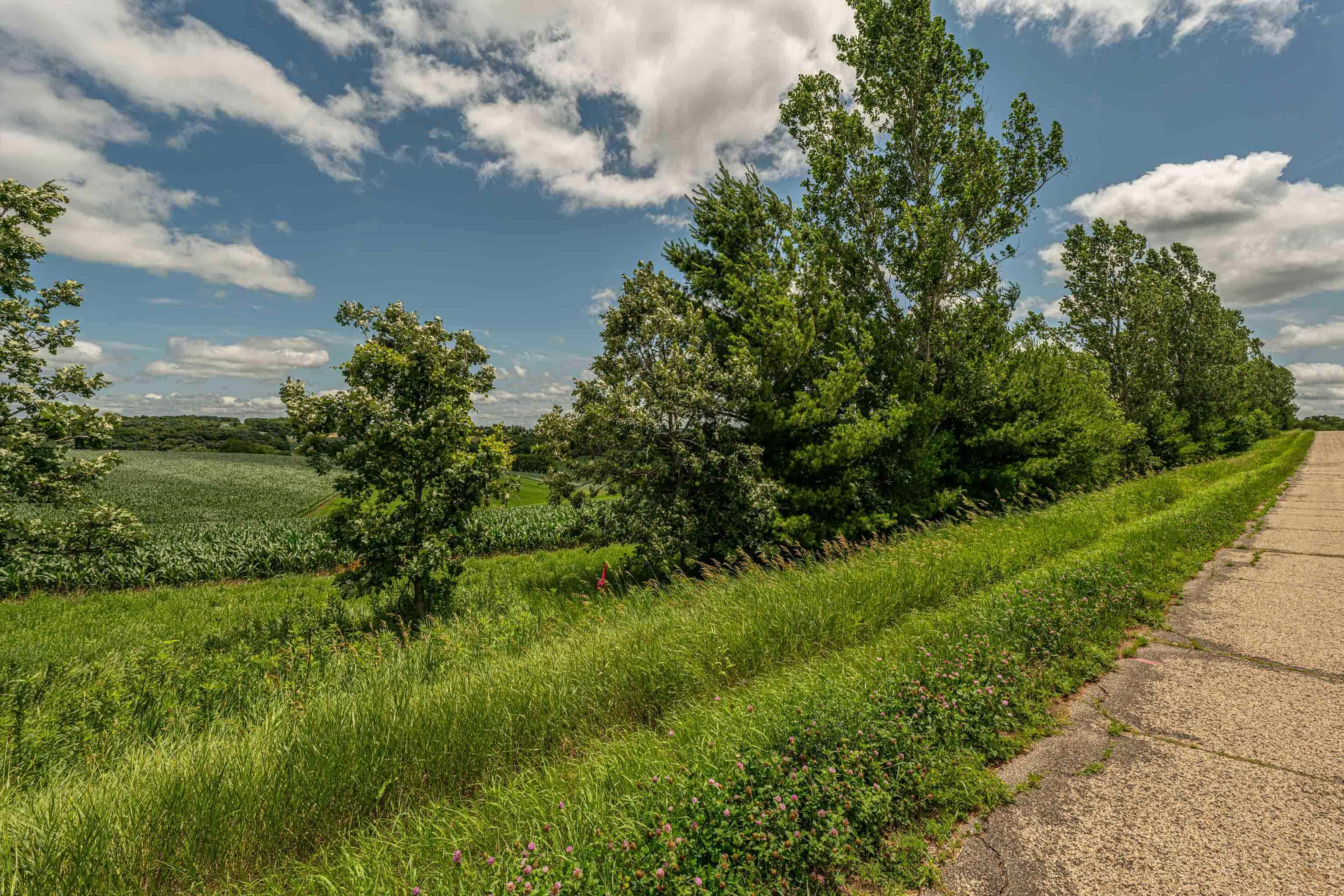 Lot 7 9.72 Acres Hefty Road - Photo 3