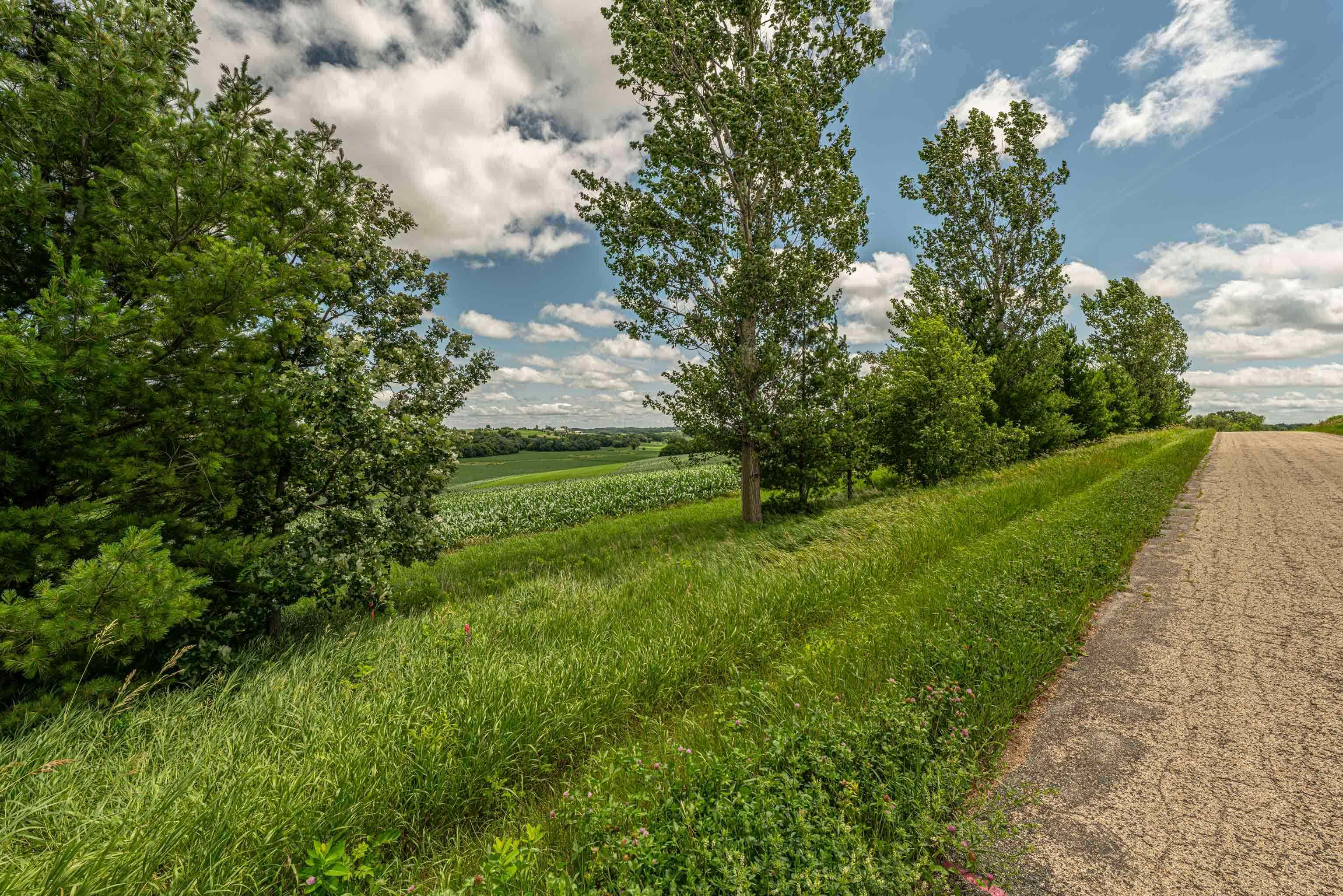 Lot 7 9.72 Acres Hefty Road - Photo 2