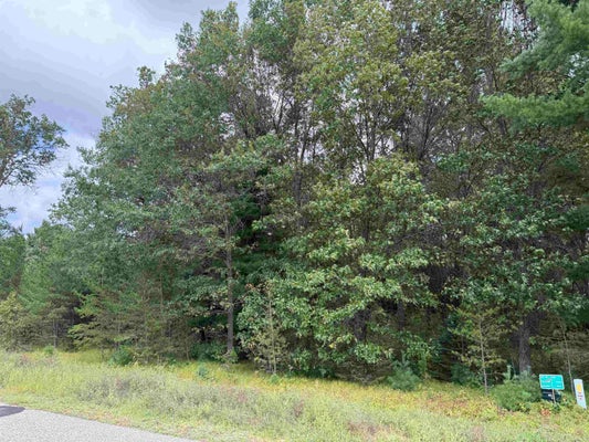 N8114 BAILEYS BLVD, NEW LISBON, WI 53950 - Image b3ab4f6c60741bae9a263c1b4e58dd44/3765488730