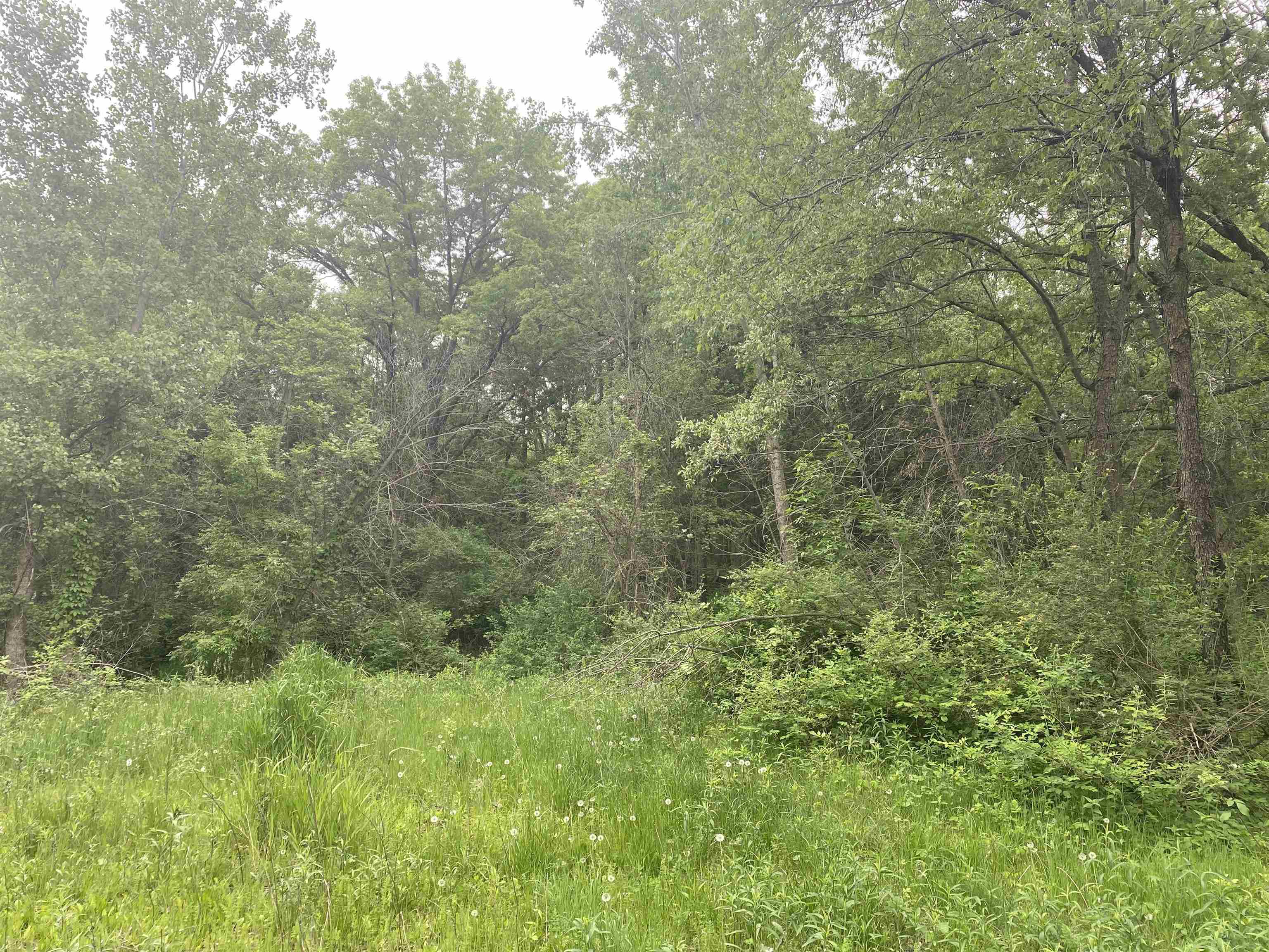 940 Calhoun Drive