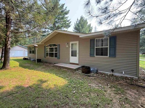 Tiny photo for 817 Elk Drive, Adams, WI 53910 (MLS # 2005936)