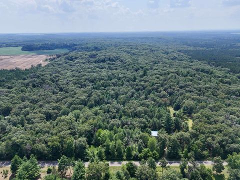 Tiny photo for 817 Elk Drive, Adams, WI 53910 (MLS # 2005936)