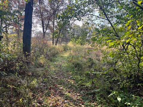 Tiny photo for 591 Chicago Avenue, Coloma, WI 54930 (MLS # 2011074)