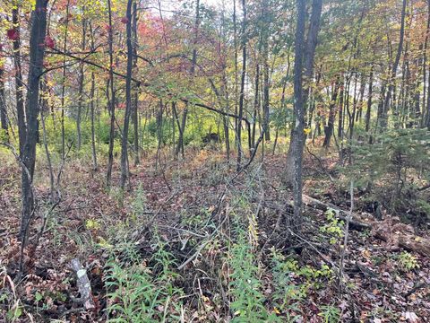 Tiny photo for 591 Chicago Avenue, Coloma, WI 54930 (MLS # 2011074)