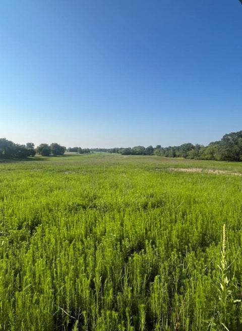 Photo of NW Cumberland Street, Berlin, WI 54923 (MLS # 2028302)