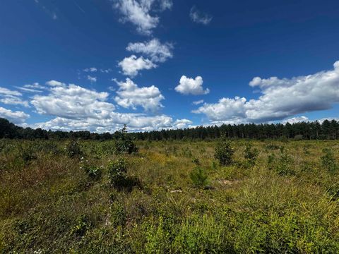 Tiny photo for 80 AC 13th Ave S Acres, Arkdale, WI 54613 (MLS # 2009945)
