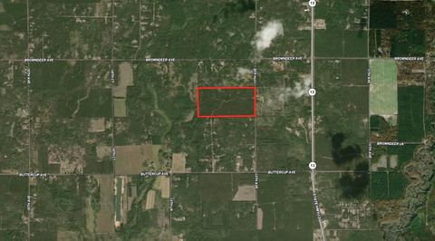 Tiny photo for 80 AC 13th Ave S Acres, Arkdale, WI 54613 (MLS # 2009945)