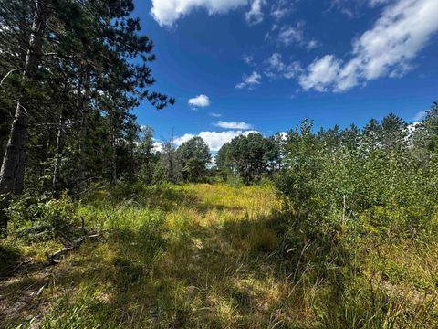 Tiny photo for 80 AC 13th Ave S Acres, Arkdale, WI 54613 (MLS # 2009945)