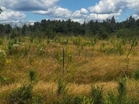 Tiny photo for 80 AC 13th Ave S Acres, Arkdale, WI 54613 (MLS # 2009945)