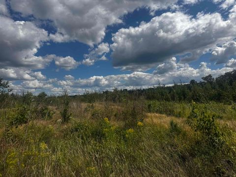 Tiny photo for 80 AC 13th Ave S Acres, Arkdale, WI 54613 (MLS # 2009945)