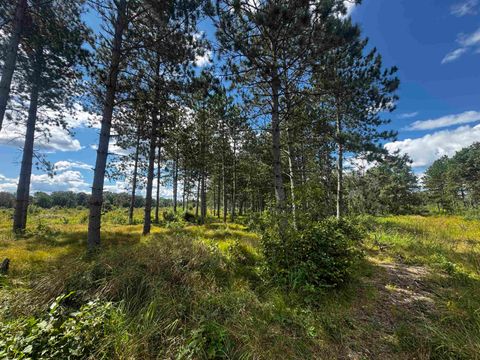 Tiny photo for 80 AC 13th Ave S Acres, Arkdale, WI 54613 (MLS # 2009945)