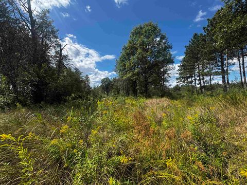 Tiny photo for 80 AC 13th Ave S Acres, Arkdale, WI 54613 (MLS # 2009945)