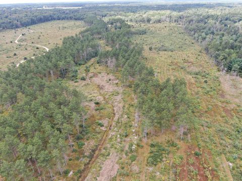 Tiny photo for 80 AC 13th Ave S Acres, Arkdale, WI 54613 (MLS # 2009945)