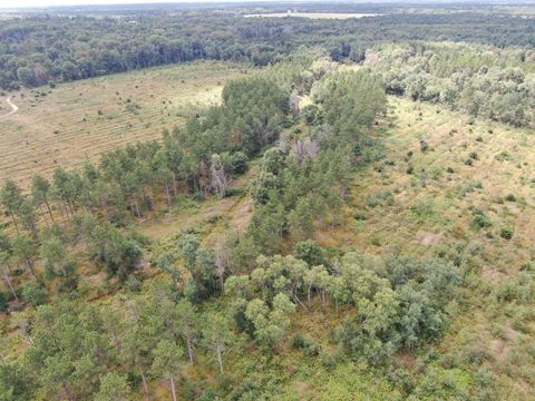 Tiny photo for 80 AC 13th Ave S Acres, Arkdale, WI 54613 (MLS # 2009945)