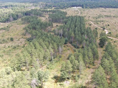 Tiny photo for 80 AC 13th Ave S Acres, Arkdale, WI 54613 (MLS # 2009945)