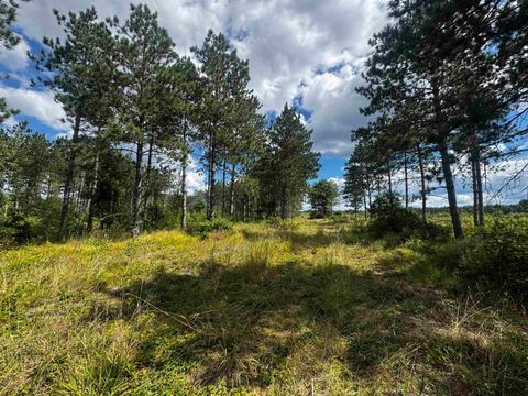 Tiny photo for 80 AC 13th Ave S Acres, Arkdale, WI 54613 (MLS # 2009945)