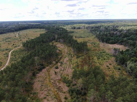 Tiny photo for 80 AC 13th Ave S Acres, Arkdale, WI 54613 (MLS # 2009945)