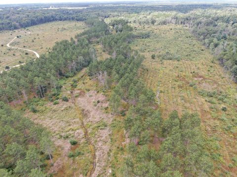 Tiny photo for 80 AC 13th Ave S Acres, Arkdale, WI 54613 (MLS # 2009945)
