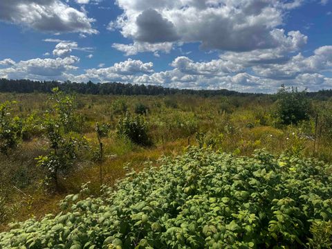 Tiny photo for 80 AC 13th Ave S Acres, Arkdale, WI 54613 (MLS # 2009945)