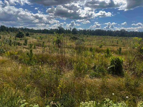 Tiny photo for 80 AC 13th Ave S Acres, Arkdale, WI 54613 (MLS # 2009945)