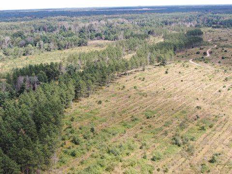 Tiny photo for 80 AC 13th Ave S Acres, Arkdale, WI 54613 (MLS # 2009945)