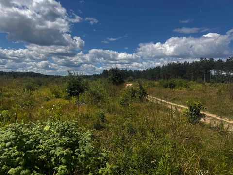 Tiny photo for 80 AC 13th Ave S Acres, Arkdale, WI 54613 (MLS # 2009945)