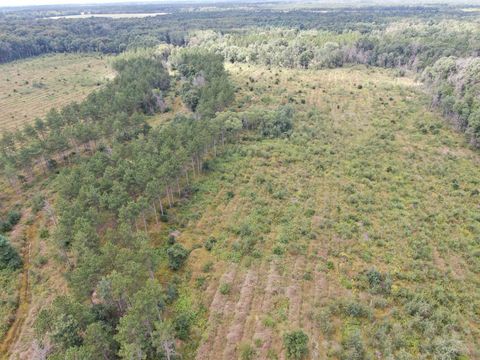 Tiny photo for 80 AC 13th Ave S Acres, Arkdale, WI 54613 (MLS # 2009945)