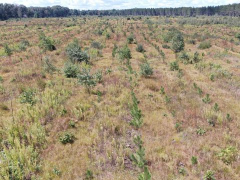 Tiny photo for 80 AC 13th Ave S Acres, Arkdale, WI 54613 (MLS # 2009945)
