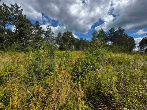 Tiny photo for 80 AC 13th Ave S Acres, Arkdale, WI 54613 (MLS # 2009945)