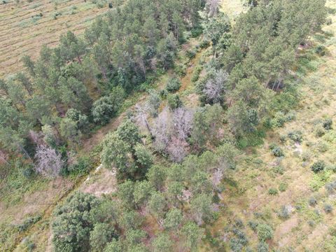 Tiny photo for 80 AC 13th Ave S Acres, Arkdale, WI 54613 (MLS # 2009945)