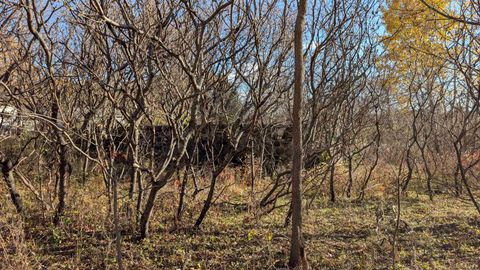 Photo of L17 Oak Road, Markesan, WI 53946 (MLS # 2012087)