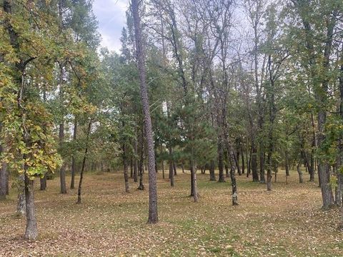 Tiny photo for 1407 Rain Dance Trail, Nekoosa, WI 54457 (MLS # 2009909)