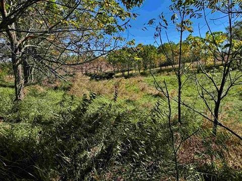 Photo of 41.80 Acres County Road O, Mineral Point, WI 53565 (MLS # 2014468)