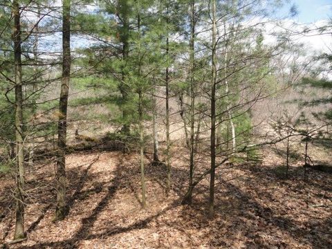 Tiny photo for L 16 Dahlke Drive, Westfield, WI 53964 (MLS # 1954204)