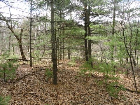 Tiny photo for L 16 Dahlke Drive, Westfield, WI 53964 (MLS # 1954204)