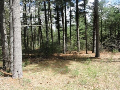 Tiny photo for L 16 Dahlke Drive, Westfield, WI 53964 (MLS # 1954204)