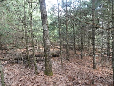 Tiny photo for L 16 Dahlke Drive, Westfield, WI 53964 (MLS # 1954204)