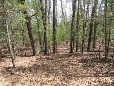 Tiny photo for L 16 Dahlke Drive, Westfield, WI 53964 (MLS # 1954204)