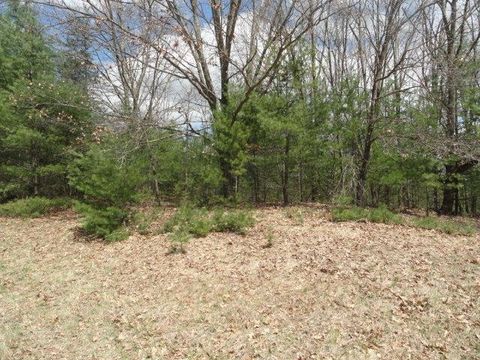 Tiny photo for L 16 Dahlke Drive, Westfield, WI 53964 (MLS # 1954204)