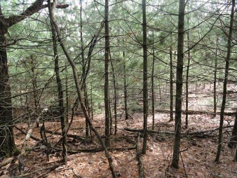 Tiny photo for L 16 Dahlke Drive, Westfield, WI 53964 (MLS # 1954204)