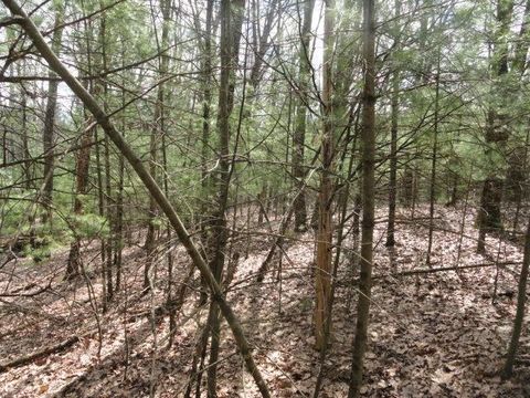 Tiny photo for L 16 Dahlke Drive, Westfield, WI 53964 (MLS # 1954204)