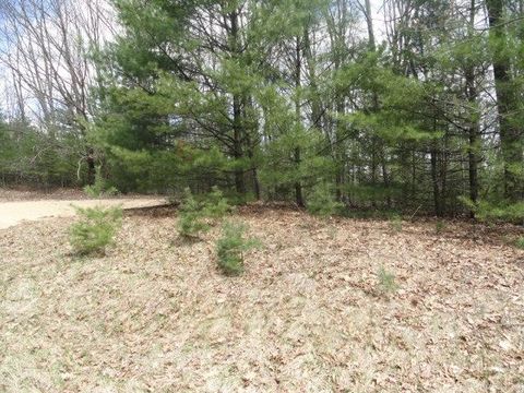 Tiny photo for L 16 Dahlke Drive, Westfield, WI 53964 (MLS # 1954204)