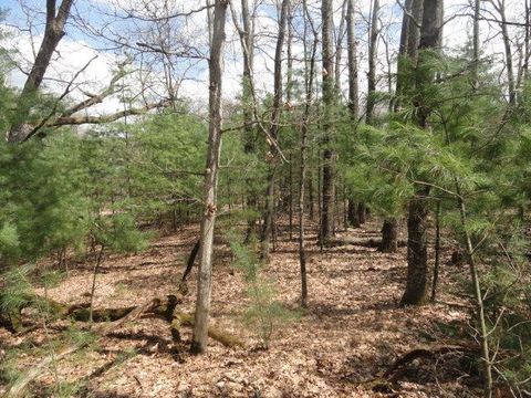 Tiny photo for L 16 Dahlke Drive, Westfield, WI 53964 (MLS # 1954204)