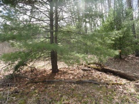 Tiny photo for L 16 Dahlke Drive, Westfield, WI 53964 (MLS # 1954204)