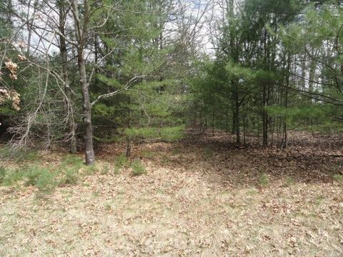 Tiny photo for L 16 Dahlke Drive, Westfield, WI 53964 (MLS # 1954204)
