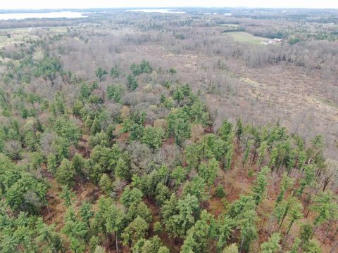 Photo of 80 AC W Oakwood Dr Acres, Mosinee, WI 54455 (MLS # 2022439)