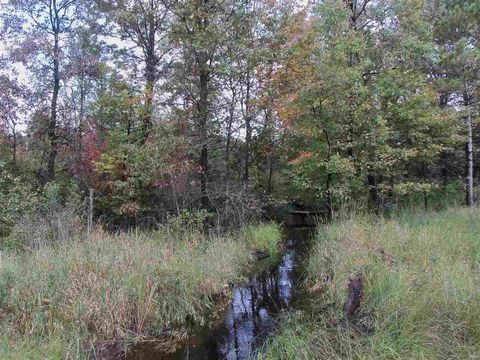 Tiny photo for 1122 Badger Avenue, Nekoosa, WI 54457 (MLS # 1989593)